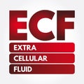 ECF - Extracellular fluid acronym Royalty Free Stock Photo