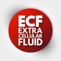 ECF - Extracellular fluid acronym, medical concept background Royalty Free Stock Photo