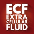 ECF - Extracellular fluid acronym, medical concept background Royalty Free Stock Photo