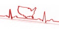 ECG, electrocardiogram in the shape of USA map Royalty Free Stock Photo