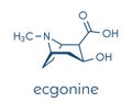 Ecgonine coca alkaloid molecule. Metabolite of cocaine. Skeletal formula.