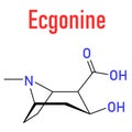 Ecgonine coca alkaloid molecule. Metabolite of cocaine. Skeletal formula.