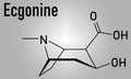 Ecgonine coca alkaloid molecule. Metabolite of cocaine. Skeletal formula.