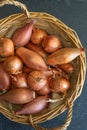 Echalion shallots Royalty Free Stock Photo