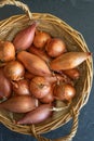 Echalion shallots