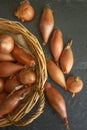 Echalion shallots Royalty Free Stock Photo