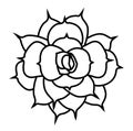 Echeveria lilacina black and white icon vector illustration. Top view of Mexican Ghost echeveria plant. Simple hand