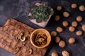 Echeveria plant and walnuts on blue slate table. Healthy nuts and seeds composition. Royalty Free Stock Photo