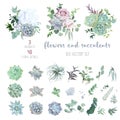 Echeveria, tillandsia blue, grey, mint succulents, white hydrangea, pale pink rose