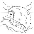 Echidna Animal Coloring Page for Kids