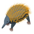 Echidna animal icon isometric vector. Cute nature Royalty Free Stock Photo