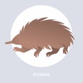 Echidna icon cartoon endangered wild australian animal symbol wildlife species fauna concept flat