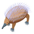 Echidna icon isometric vector. Cute animal Royalty Free Stock Photo