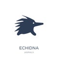 Echidna icon. Trendy flat vector Echidna icon on white background from animals collection