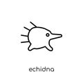 Echidna icon. Trendy modern flat linear vector Echidna icon on w