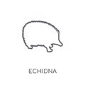 Echidna linear icon. Modern outline Echidna logo concept on whit