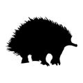 Echidna Tachyglossus Aculeatus Silhouette Vector Found In Map Of Oceania