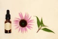Echinacea Alternative Herbal Medicine Royalty Free Stock Photo