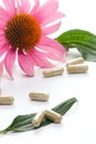 Echinacea capsules