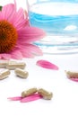 Echinacea capsules