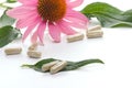 Echinacea capsules Royalty Free Stock Photo