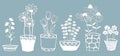 Echinacea, chamomile, schefler, noble hepatica, zephyrantes, stokesia. Vector illustration. Set of paper flower in pots, stickers