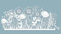 Echinacea, chamomile, schefler, noble hepatica, zephyrantes, stokesia. Vector illustration. Set of paper flower, stickers. Laser