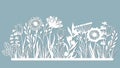 Echinacea, chamomile, schefler, noble hepatica, zephyrantes, stokesia. Vector illustration. Set of paper flower, stickers. Laser