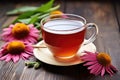 echinacea flowers next to a cup of tea Royalty Free Stock Photo