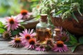 Echinacea for homeopathy Royalty Free Stock Photo