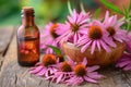 Echinacea for homeopathy Royalty Free Stock Photo