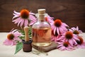 Echinacea for homeopathy Royalty Free Stock Photo