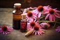Echinacea for homeopathy Royalty Free Stock Photo
