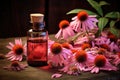 Echinacea for homeopathy Royalty Free Stock Photo