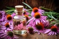 Echinacea for homeopathy Royalty Free Stock Photo