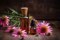 Echinacea for homeopathy Royalty Free Stock Photo