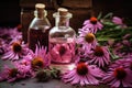 Echinacea for homeopathy Royalty Free Stock Photo