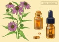 Echinacea plant and Two Vials