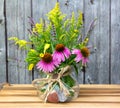 Echinacea and Solidago blossoms. Royalty Free Stock Photo