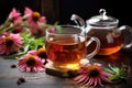 echinacea tea brewing in a clear teapot, fresh echinacea flowers nearby