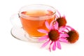 Echinacea tea isolated on white background. Medicinal tea Royalty Free Stock Photo