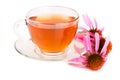 Echinacea tea isolated on white background. Medicinal tea Royalty Free Stock Photo