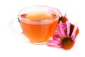 Echinacea tea isolated on white background. Medicinal tea Royalty Free Stock Photo