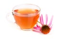 Echinacea tea isolated on white background. Medicinal tea Royalty Free Stock Photo