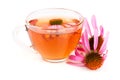 Echinacea tea isolated on white background. Medicinal tea Royalty Free Stock Photo