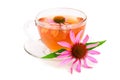 Echinacea tea isolated on white background. Medicinal tea Royalty Free Stock Photo