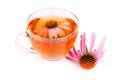 Echinacea tea isolated on white background. Medicinal tea Royalty Free Stock Photo