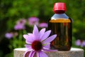 Echinacea tincture. bottle and echinacea flower on garden background.Natural traditional medicine and alternative