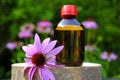 Echinacea tincture.Herbal medicinal tinctures. bottle and echinacea flower