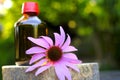 Echinacea tincture.Herbal medicinal tinctures. Glass bottle and echinacea flower.Natural traditional medicine and